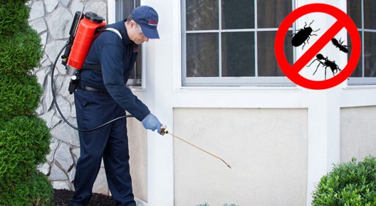 Aliağa Fare İlaçlama böcek ilaçlama ve haşere kontrolü — ilaclama-tr.com